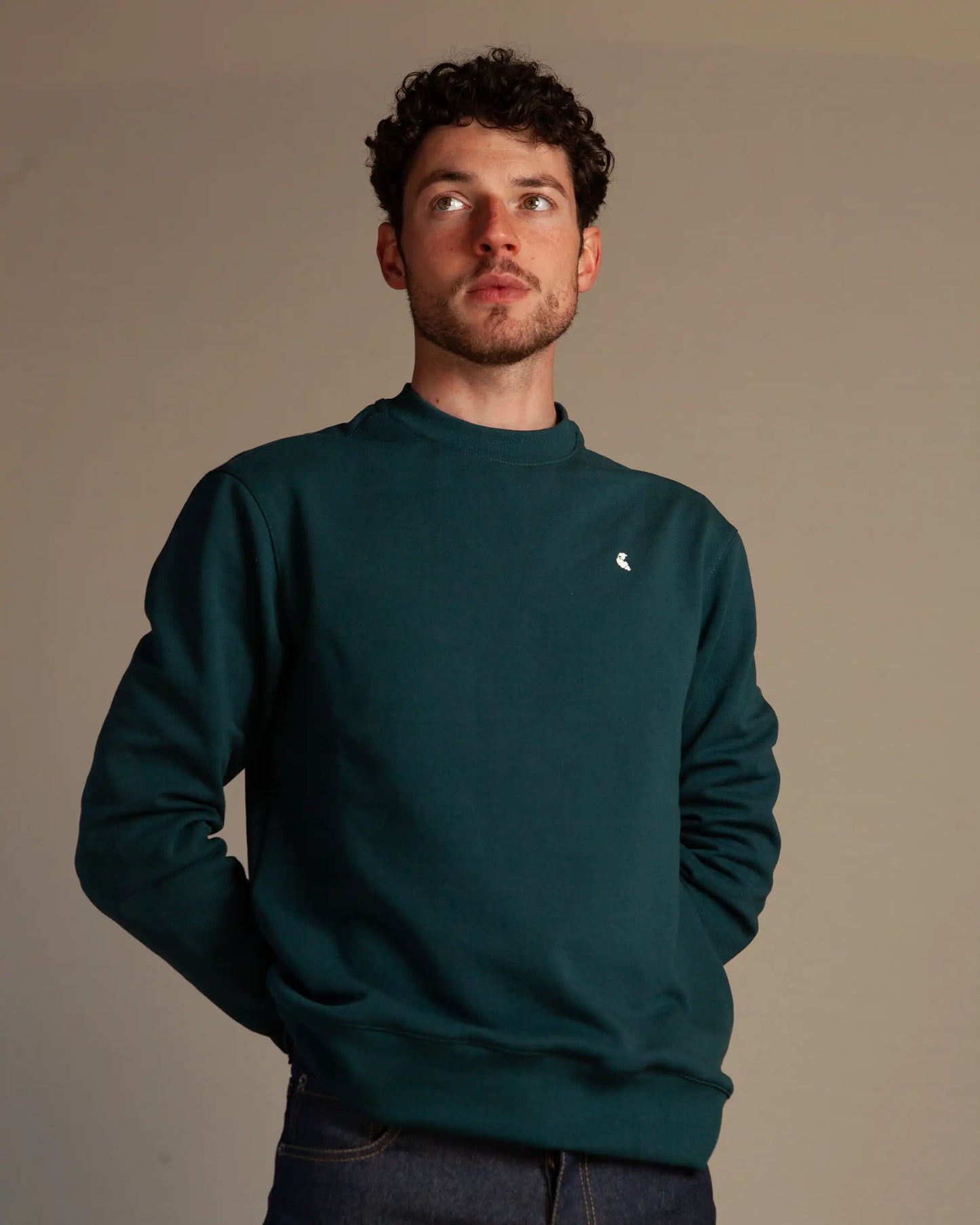 Sweat rond Cold Forest